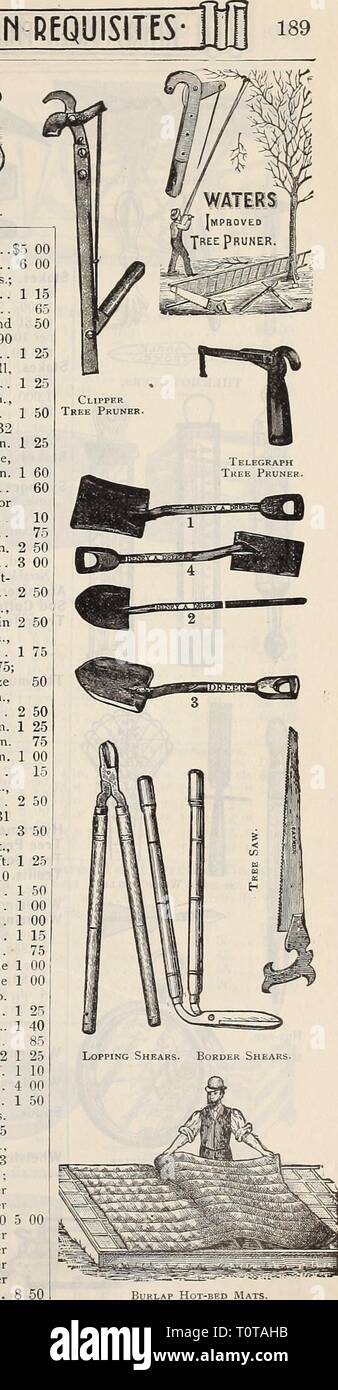 Dreer's 1901 Garten Kalender (1901) Dreer's 1901 Garten Kalender 1901 Garten 1901 dreers henr Jahr: 1901 Sensen. Root-Fräser. $ 12,00 ; Gemüse schneiden. Rustikale Stühle. $ 3,00; Sofas 3,50 $. . . Sägen. Beschneidung, 14 in., KLICKEN SIE cts., 16 in., 70 cts.; 18., 80 cts., 20 in., 95 cts.; 2-1 in. . 'Blitz, Double edge Schere. Blüte und Frucht Sammler, 25 und 'Trauben ausdünnen, importierte, 6 in., 90 cts.; 7., § 1,00; 8 in 'Blumen - Sammeln, importierte, kleine, 90 cts.; Medium, ^Jl. OO; große,. .. "Bogen, Beschneiden, 4 in., 75 cts.; 5., $ 1,00; 6 in., § 1,25; 7 in Englischer Rasen, hinten aufgenietet, 30, 32 und Stockfoto
