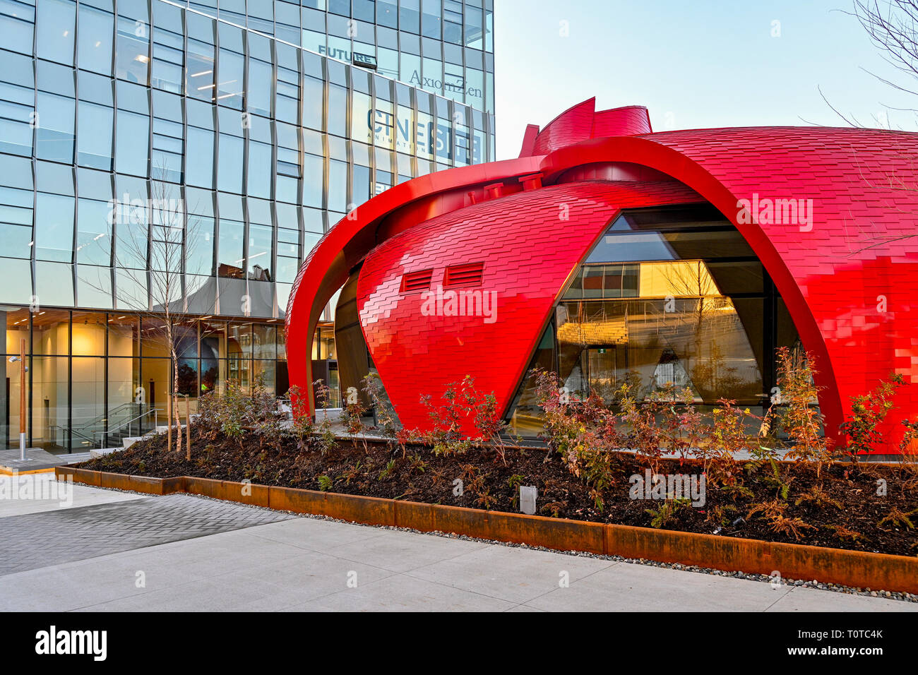 Ungewöhnliche architektonische Coffee Shop Pavillon, der Rote Blütenblatt am Emily Carr Hochschule für Kunst und Design, Vancouver, British Columbia, Kanada Stockfoto
