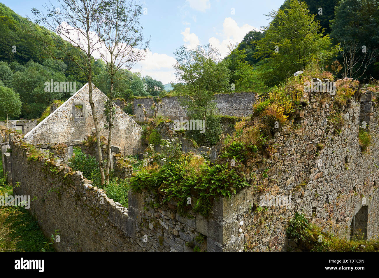 Ruiniert die Fabrikanlagen bedeckt mit Vegetation an der echten Fàbrica De Armas y Municiones de Orbaiceta (Orbaizeta, Aezkoa, Navarra, Spanien) Stockfoto