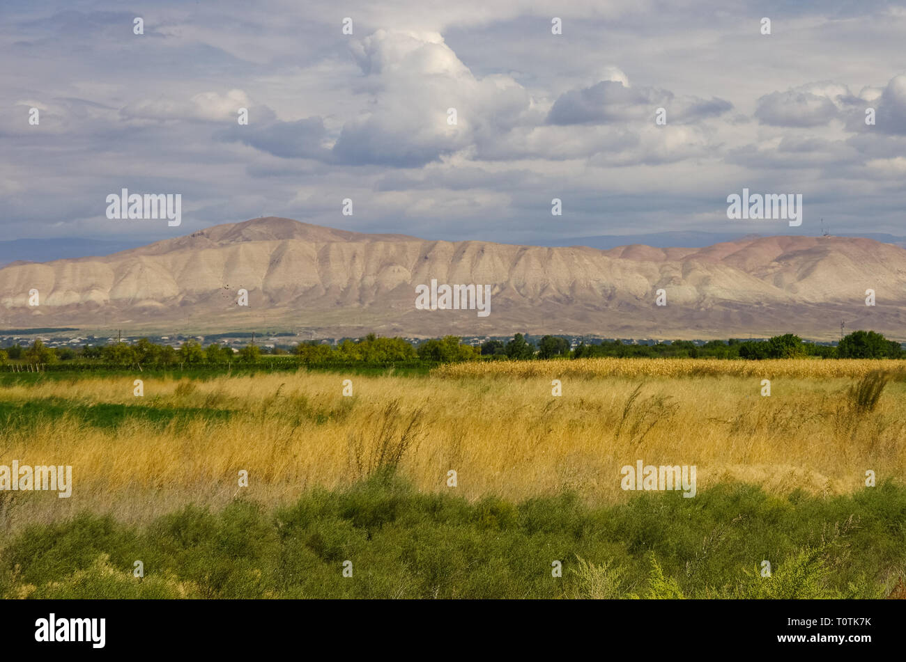 Wiese und Berg Ararat in Armenien in der Region. Stockfoto