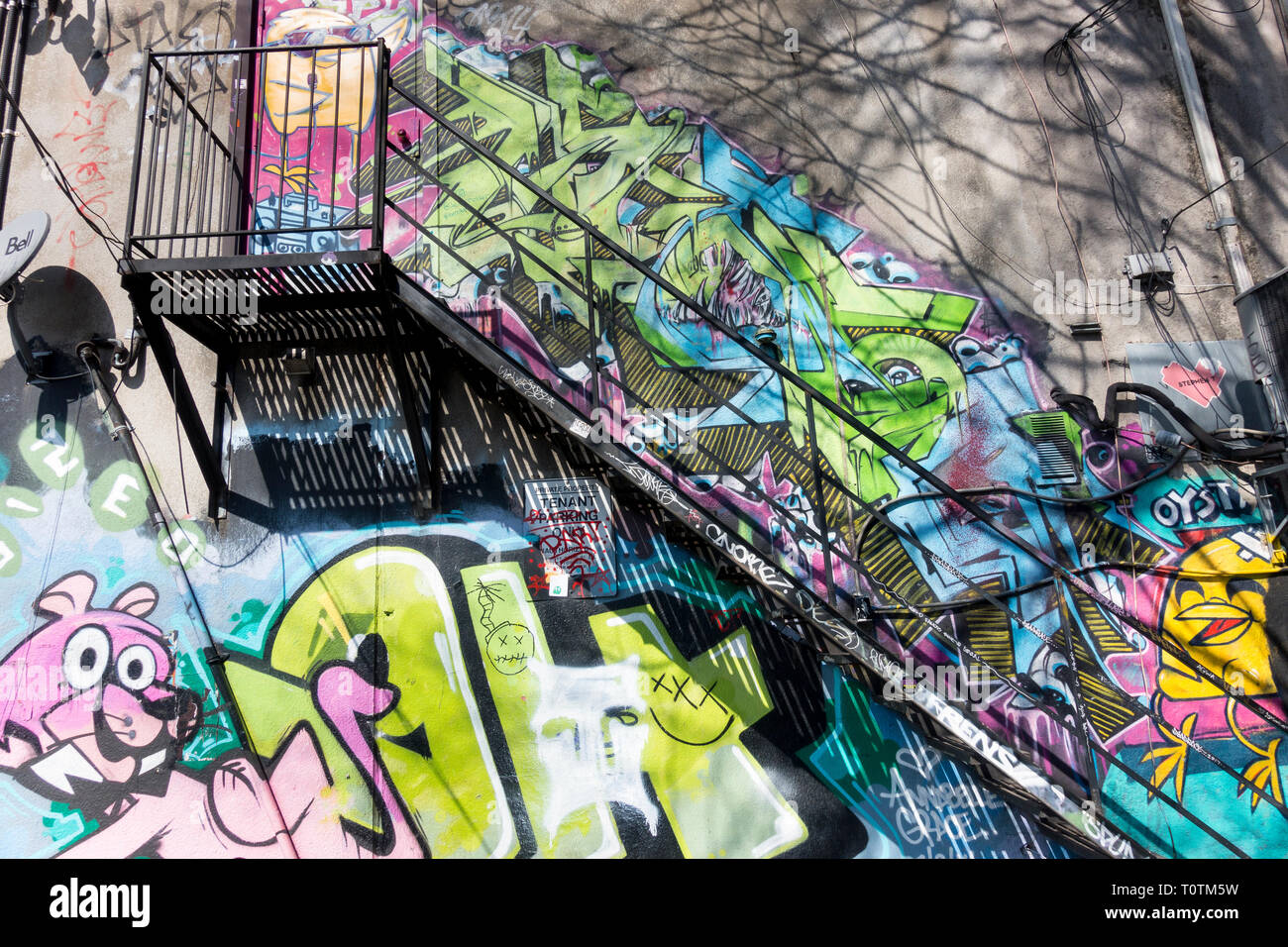 Eine große Anzahl von bunten Wandmalereien, die zu einer ungewöhnlichen Touristenattraktion in einer Gegend geworden sind, die als Graffiti Alley in Toronto Ontario Canada bekannt ist Stockfoto
