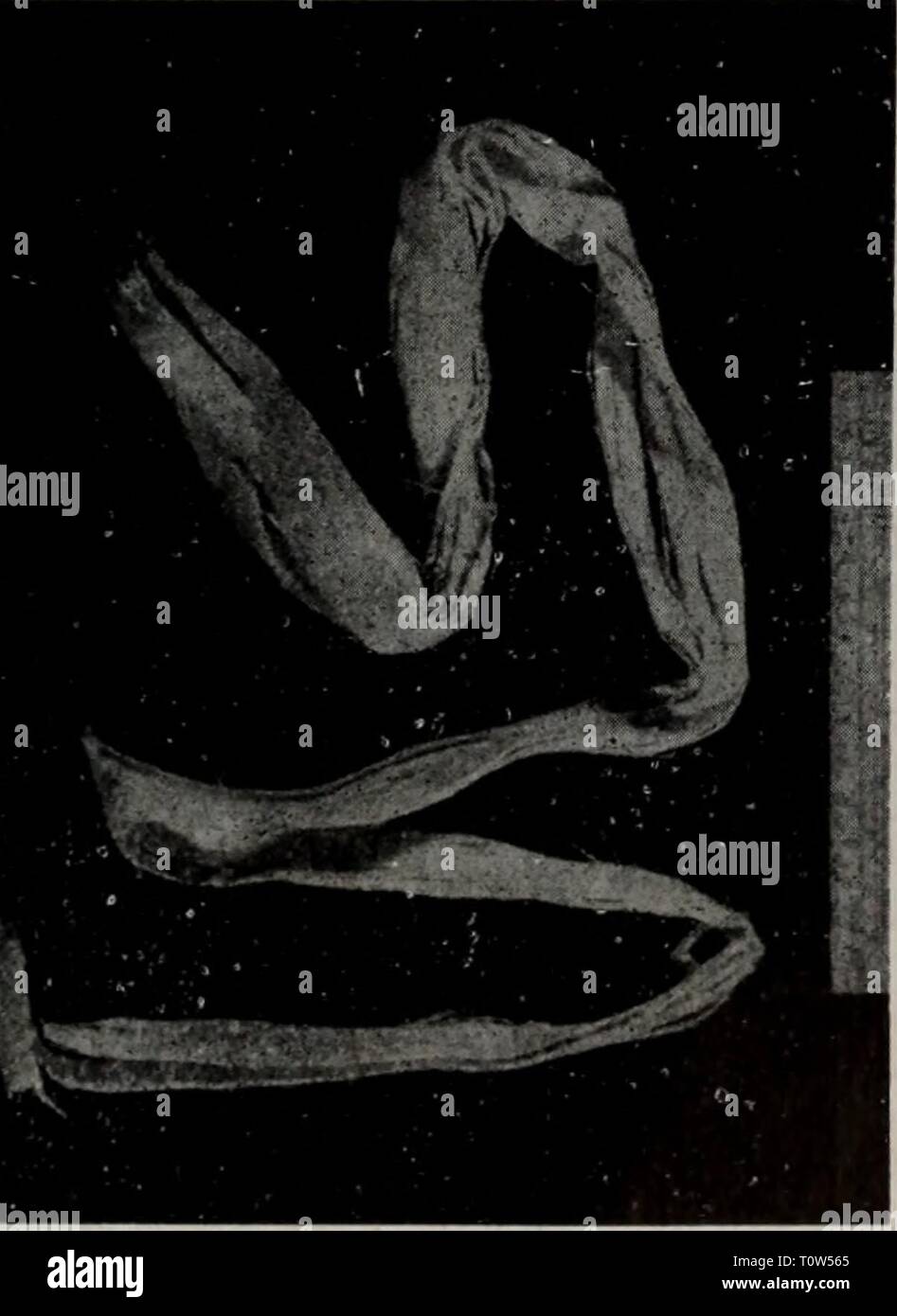 Dong bei Zhi wu Yao dong bei Zhi wu Yao tu Zhi dongbeizhiwuyaot 00 Xiao Jahr: 1959 ç§ ç.121. å/C^Cucurbita moscha^a Duch. Ç§ ç 122. å¤ae¯è JWJr 153. ae¡Ç½ç® m.fr 124. ae¡å¶ (çae åèªae ¤ ¡ Sie Stockfoto