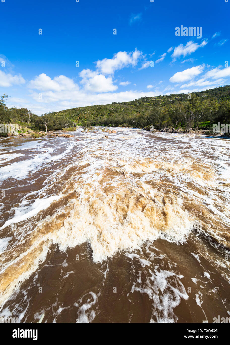 Den Swan River in vollem Durchfluss bei Glocken Rapids nach sehr starker Regen Stockfoto