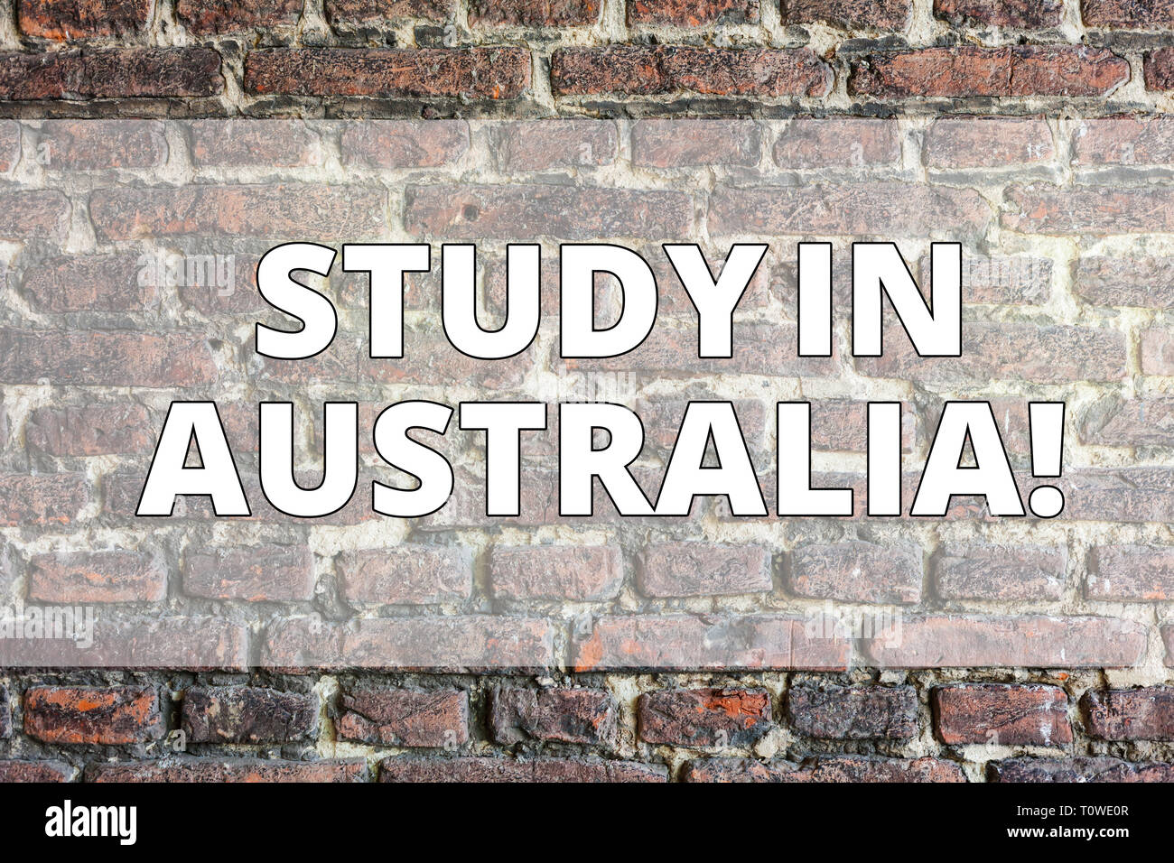 Schreiben Hinweis Übersicht Studieren in Australien. Business Konzept für Absolventen von ausländischen Universitäten große Chance Brick Wall Kunst wie Graffiti Motiva Stockfoto