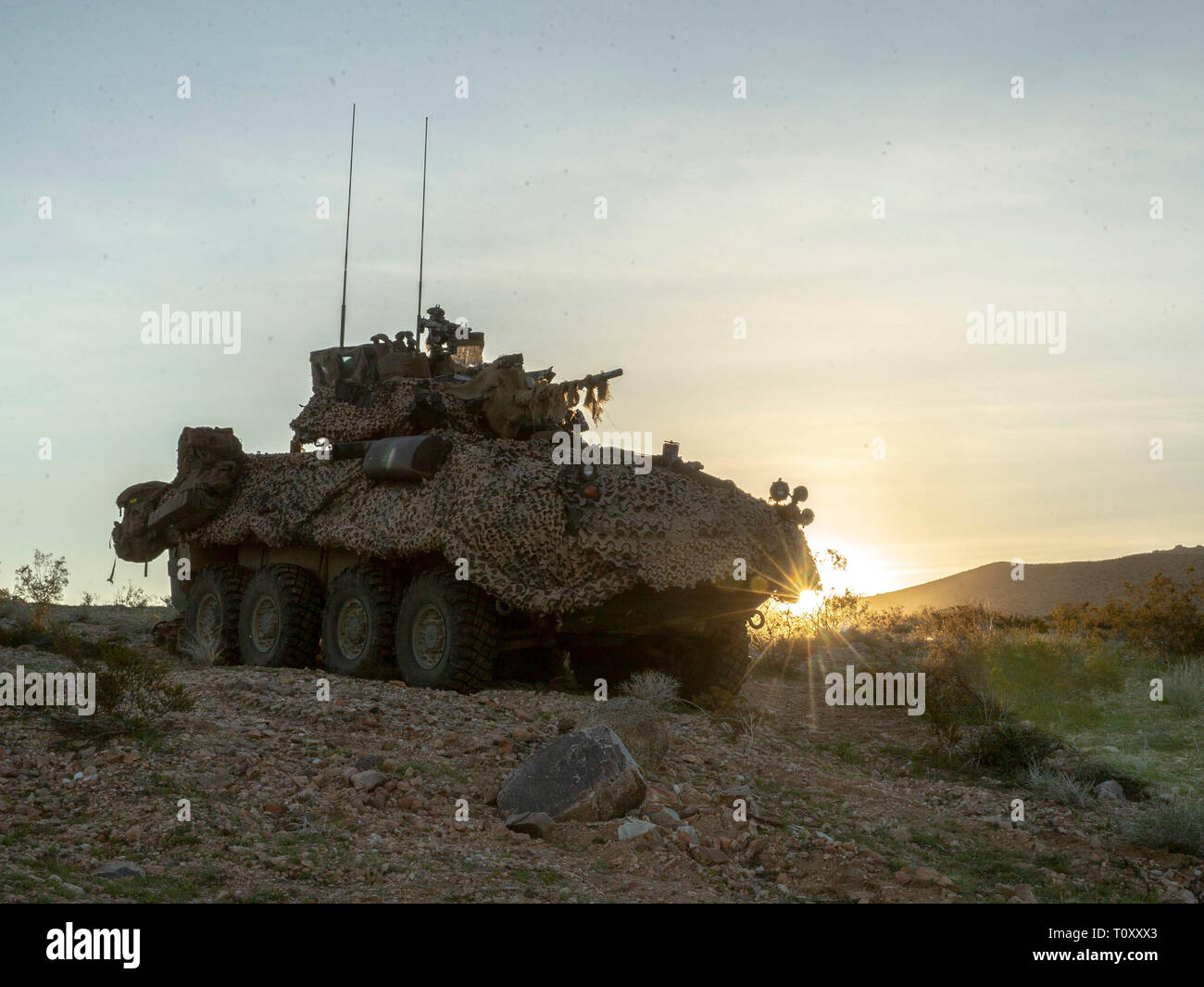 Ein U.S. Marine Corps Leichte gepanzerte Fahrzeuge mit 2. Light Armored Reconnaissance Battalion, 2nd Marine Division stellt eine defensive Position während einer Bereitstellung für Training in Fort Irwin, Kalifornien, 11. März 2019. Die Marines von 2d-Light Armored Reconnaissance Bataillon in National Training Center 19-05 als die gegnerische Streitmacht gegen das 2. gepanzerte Brigade Combat Team teilgenommen, 1 Infanterie Division. Die übung Marinesoldaten und Matrosen die Möglichkeit der Ausbildung in der konventionellen Kampfhandlungen gegen eine Peer Wettbewerber zu erhalten. (U.S. Marine Corps Foto von Sgt. Justin Stockfoto