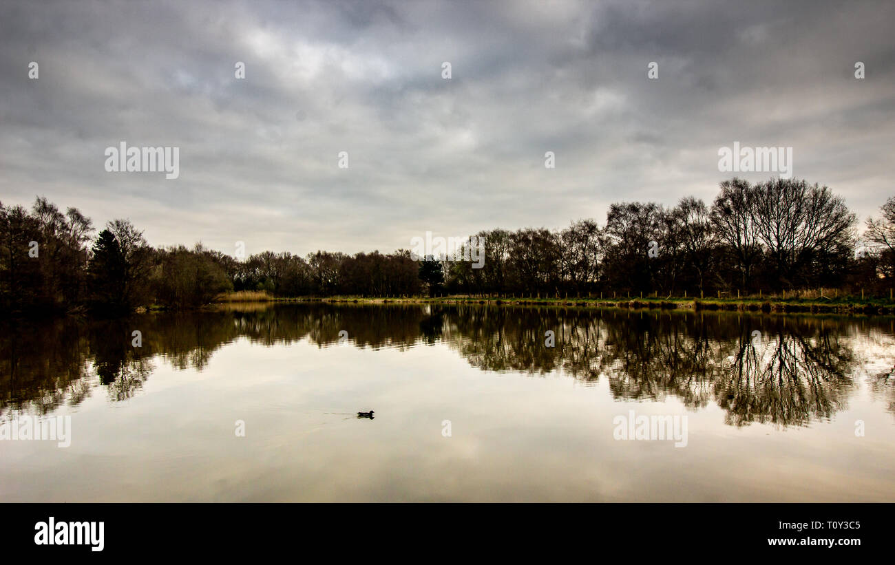 Schön Uk Wetter, schöner Spaziergang am Nachmittag im öffentlichen Park mit einem kleinen See namens Lindow in Wilmslow Cheshire Stockfoto