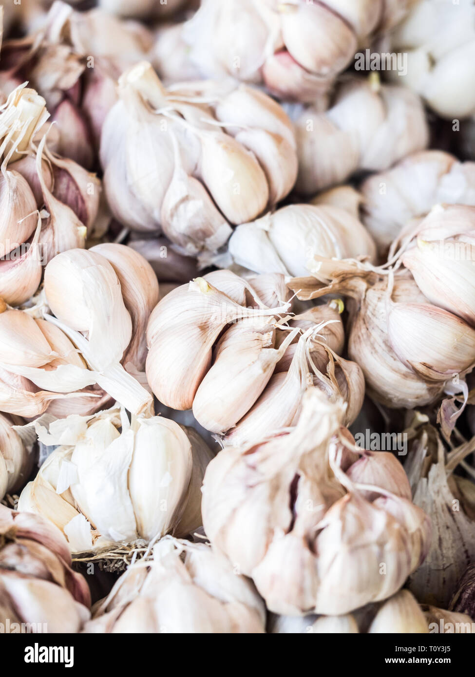 Knoblauch verkauft auf einem lokalen Markt auf der Insel Madeira, Portugal. Stockfoto