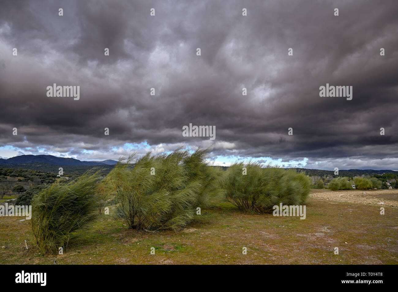 Telefon Antenne auf dem bewölkt Feld im Herbst Stockfoto