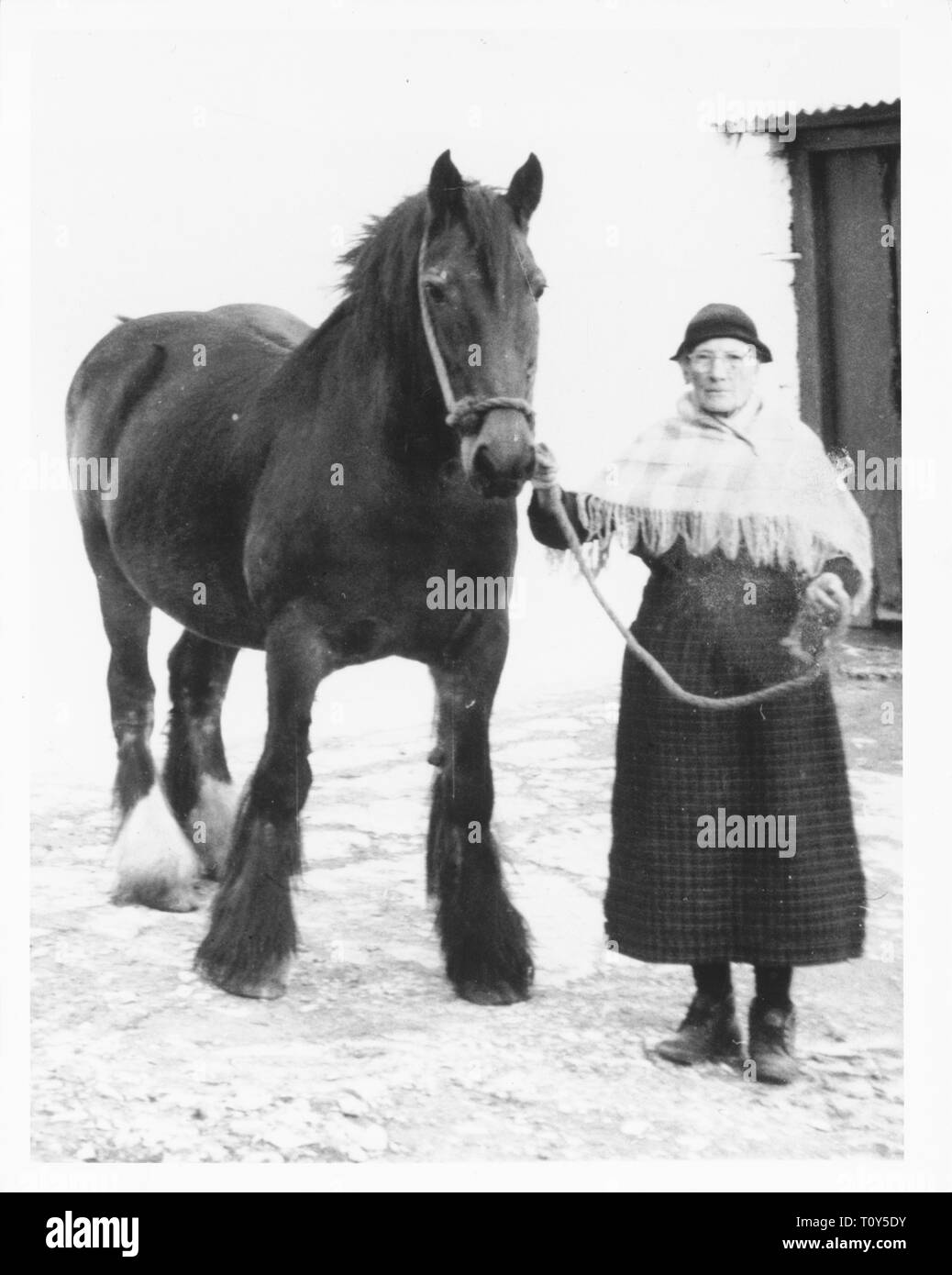 Frau Mary Williams, Myddfai mit 'Scott' die Stute, c 1970. Schöpfer: Unbekannt. Stockfoto