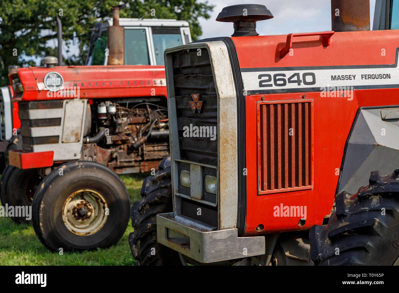 Massey Ferguson Traktoren auf Anzeige an die 2018 Aylsham Landwirtschaft zeigen, Norfolk, Großbritannien. Stockfoto