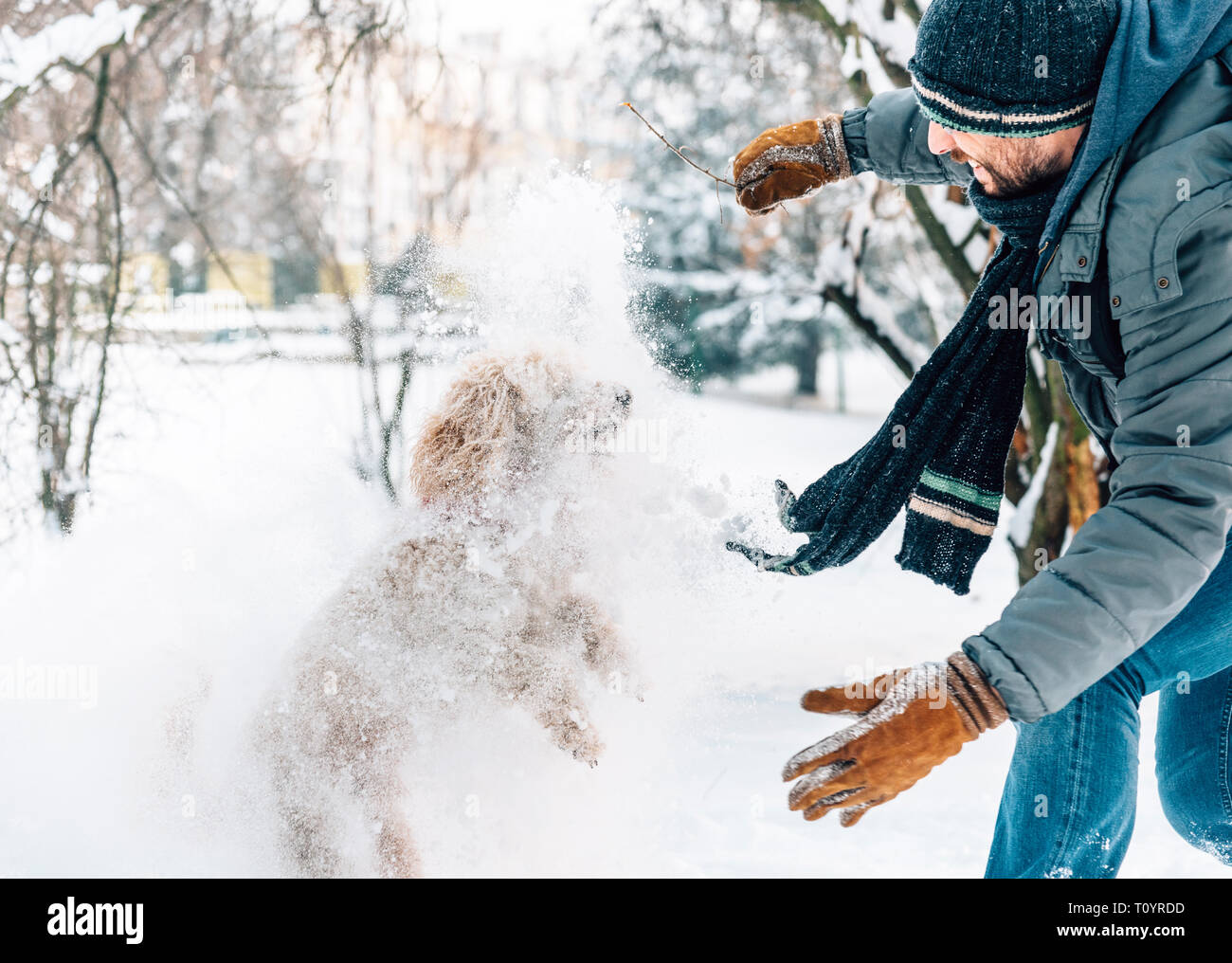 Schneeballschlacht Spaß mit Pet und seinen Besitzer in den Schnee. Winterurlaub Emotion. Nette Pfütze Hund und Mann spielt und läuft in den Wald. Film Filter Stockfoto