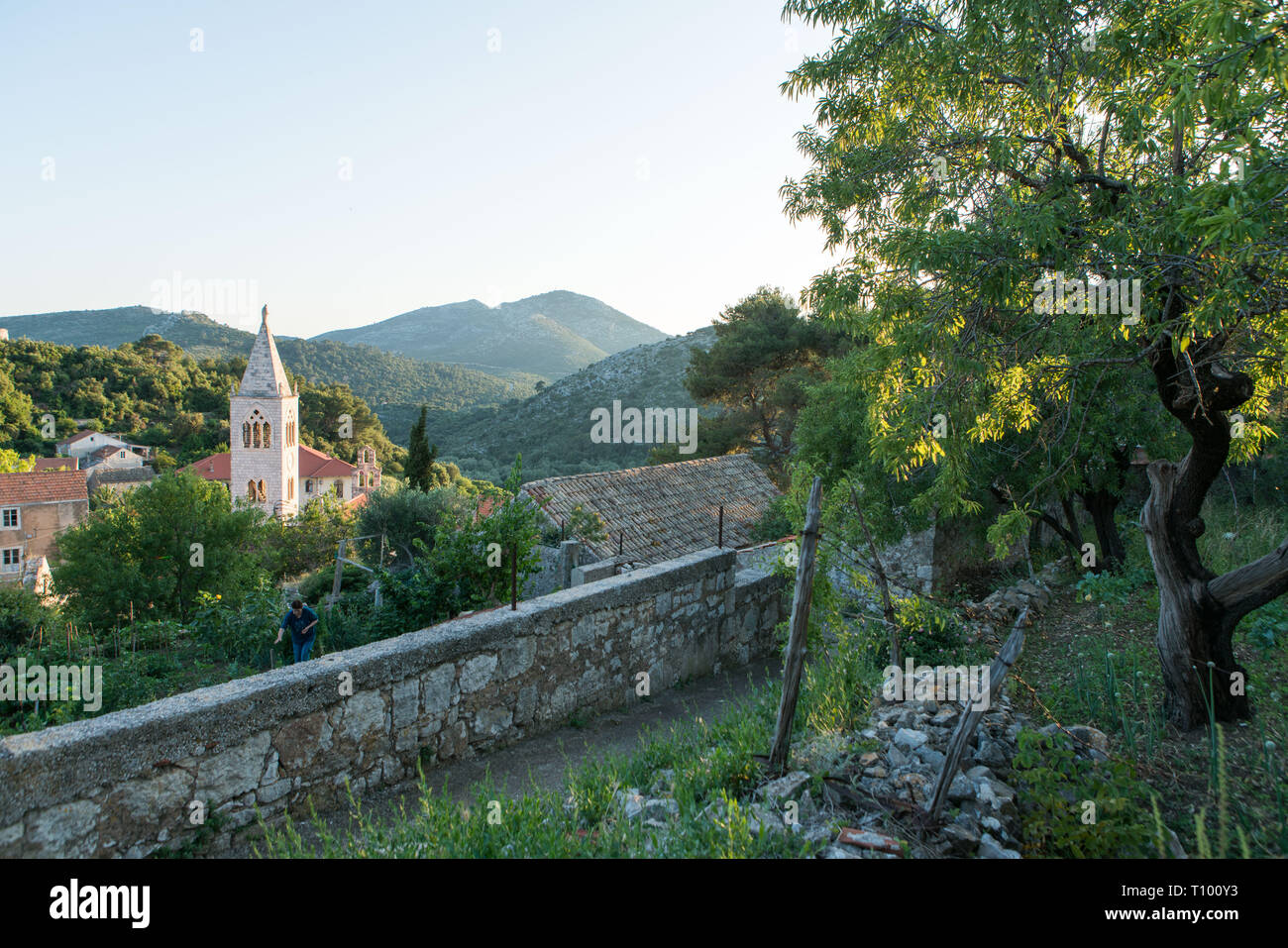 Blick über Stadt, Lastovo Lastovo Kroatien Stockfoto