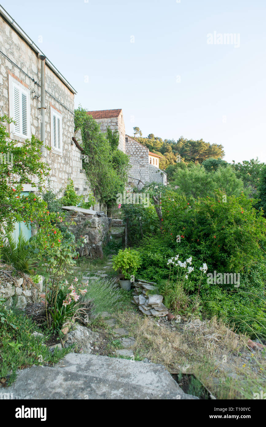 Blick über Stadt, Lastovo Lastovo Kroatien Stockfoto
