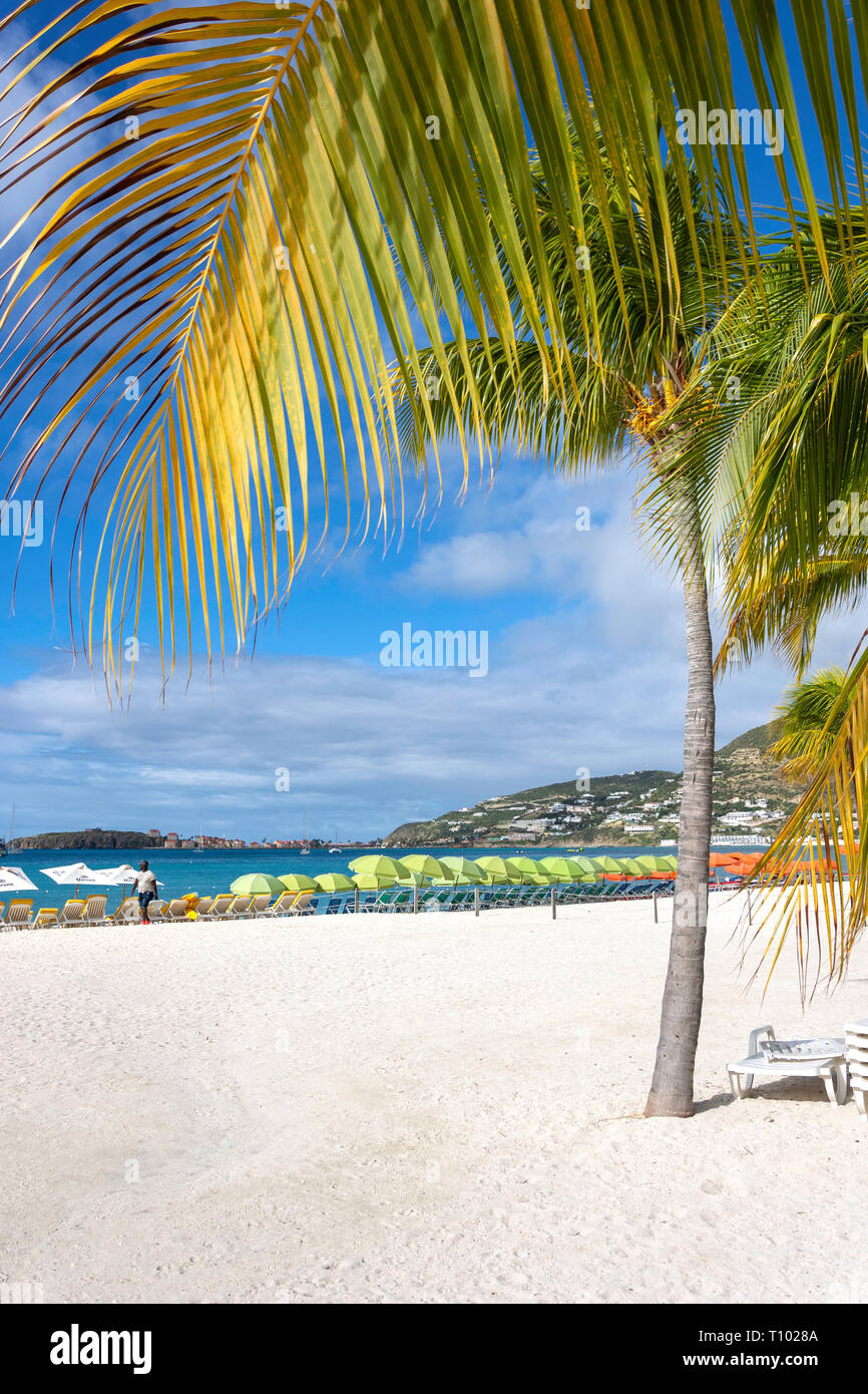 Blick auf den Strand, tolle Bucht, Philipsburg, St. Maarten, St. Martin, Kleine Antillen, Karibik Stockfoto