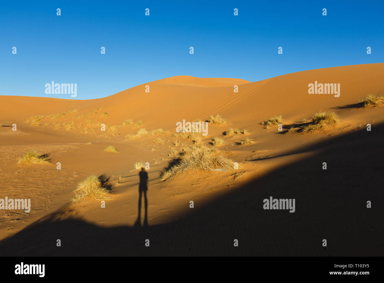 Spät niedrig stehende Sonne wirft einen langen menschlichen Schatten auf der großen Sanddünen des Erg Chebbi, Marokko, bieten eine unglaubliche Aussicht von Wellen und Formen und ändern Stockfoto