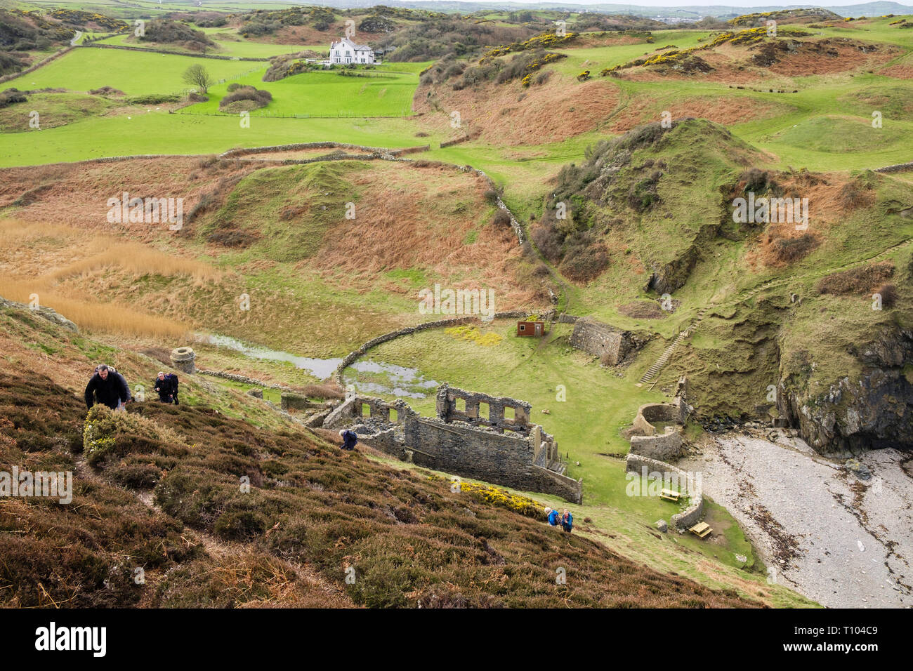 Wanderer wandern auf dem steilen Küstenwanderweg von der alten Porchelein-Werke in Porth Llanlleiana. Cemaes, Isle of Anglesey, Wales, Großbritannien Stockfoto