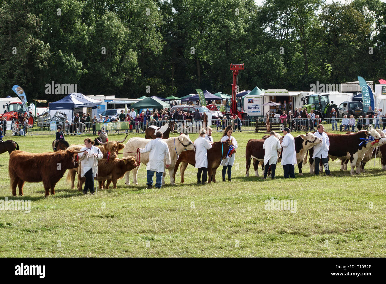 Die kington Show (Kington Horse Show & Landwirtschaftliche Gesellschaft), Herefordshire, UK. Die traditionelle Viehzucht, produzieren und Gartenschau Stockfoto