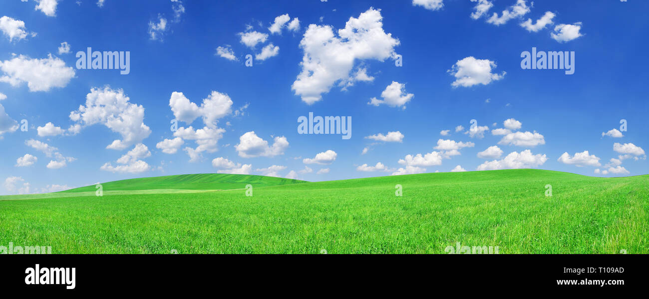 Idyllische Landschaft, sanfte grüne Wiesen, blauer Himmel und weiße Wolken im Hintergrund Stockfoto