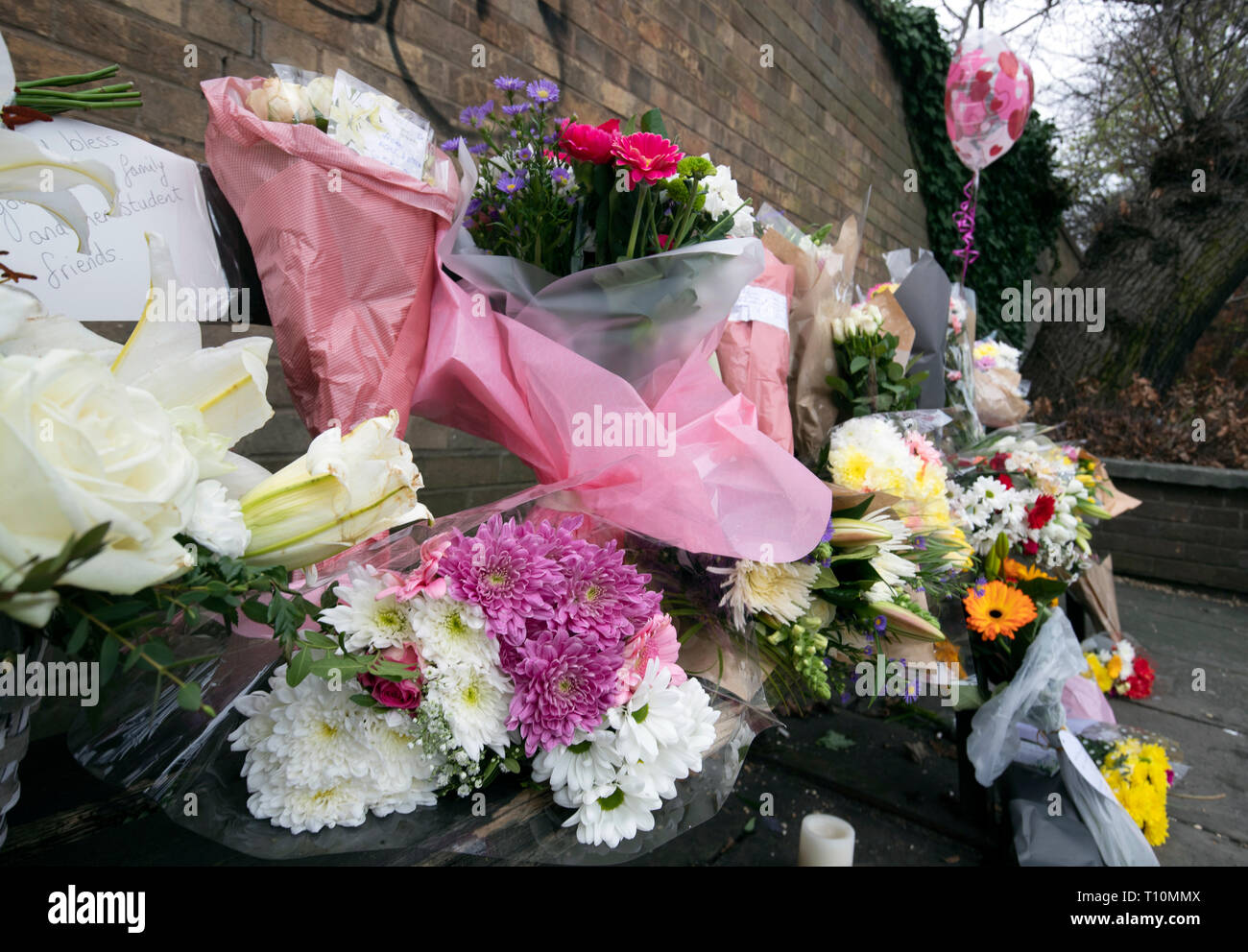 Floral Tribute und Nachrichten auf der Bank, wo Studenten Libby Squire wurde zuletzt lebend gesehen, in Hull Yorkshire, nachdem ihre Körper in der Humber-mündung gefunden wurde. Stockfoto