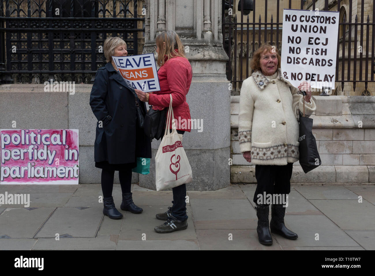 Einen Tag nach Commons Sprecher John Bercow angekündigt, seine Weigerung, Ministerpräsident Theresa's können auch dritte Brexit sinnvolle Abstimmung zu akzeptieren, bedeutet Blätter Brexiteers Protest vor den Toren des Parlaments verlassen, am 19. März 2019 in London, England. Stockfoto