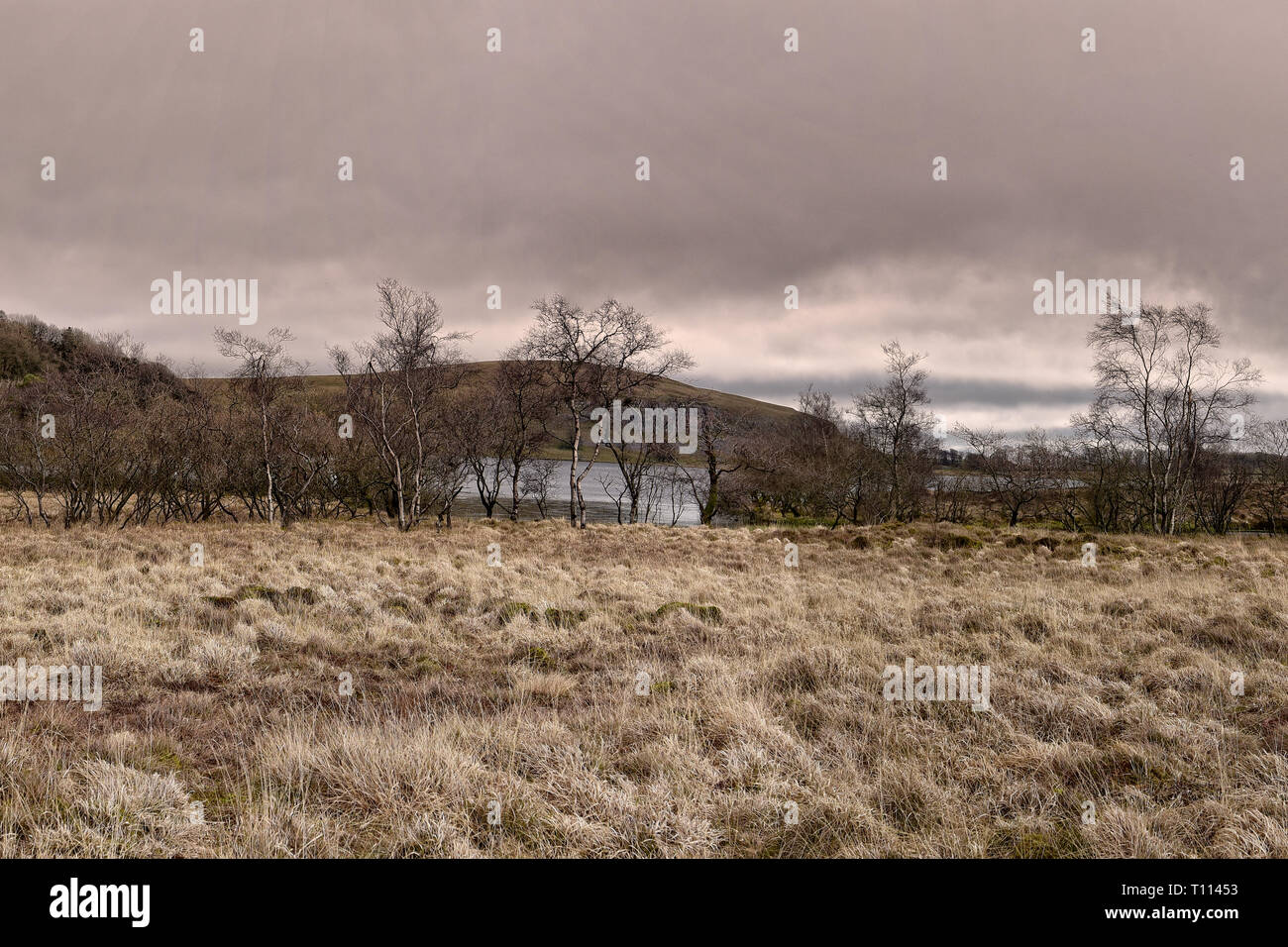 Tarn Moos, Yorkshire Dales Stockfoto