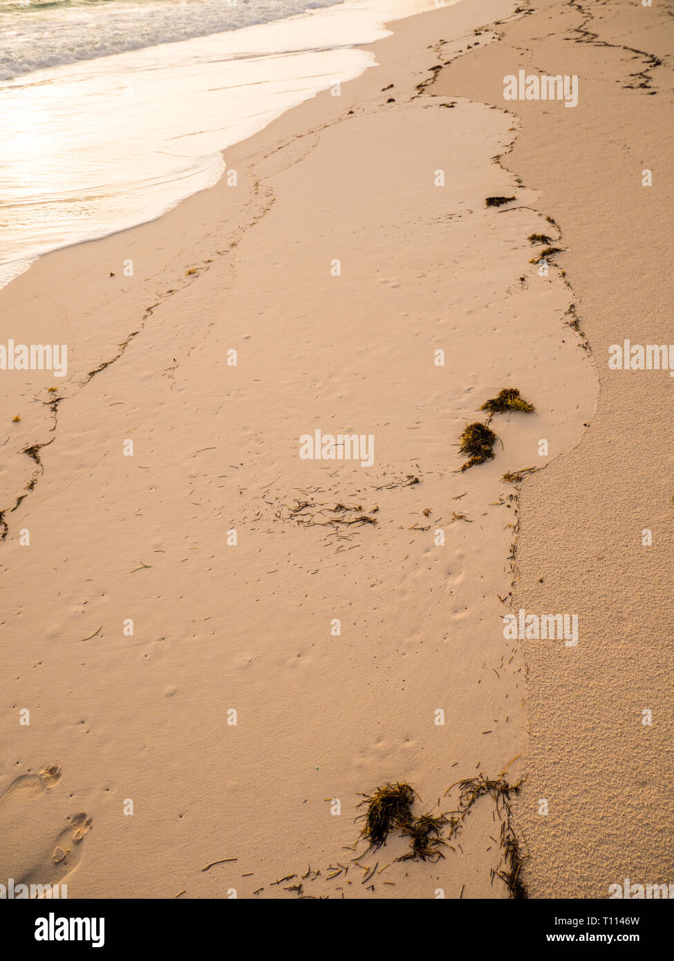 Abstrakte Sand Strand Muster, Eleuthera, Bahamas, langsame Fahrt, in der Karibik. Stockfoto