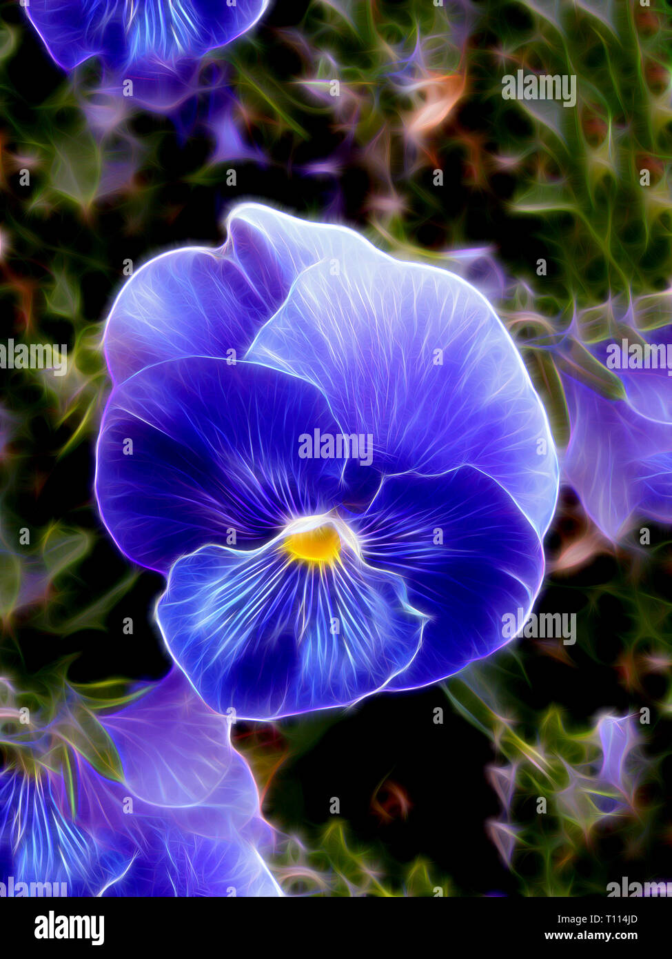 Neon Blumen Stockfotos Und Bilder Kaufen Alamy