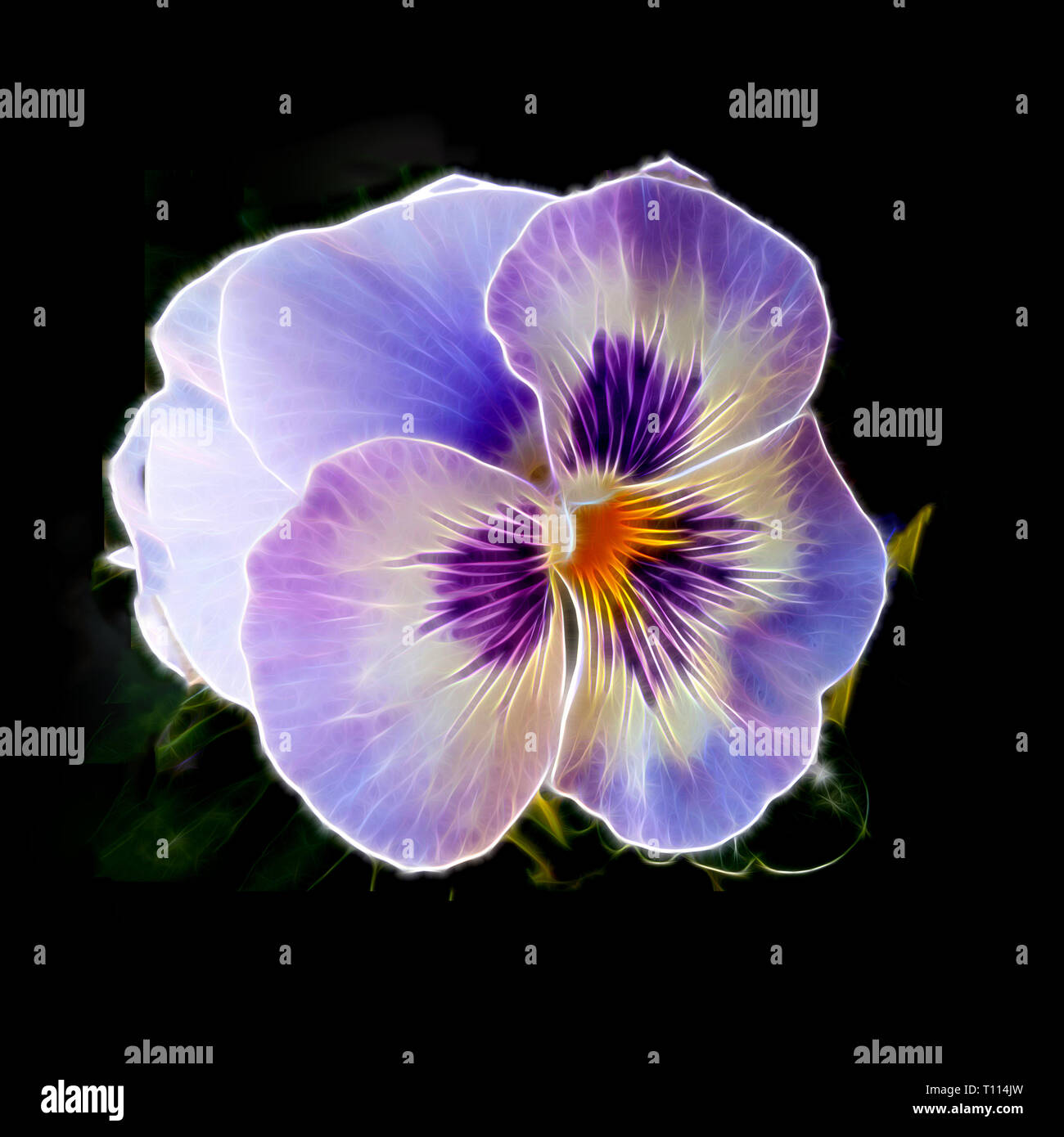 Neon Blumen Stockfotos Und Bilder Kaufen Alamy