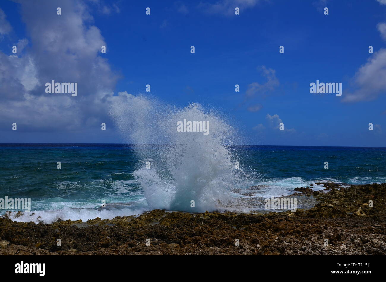 Grand Cayman Blowhole Stockfoto