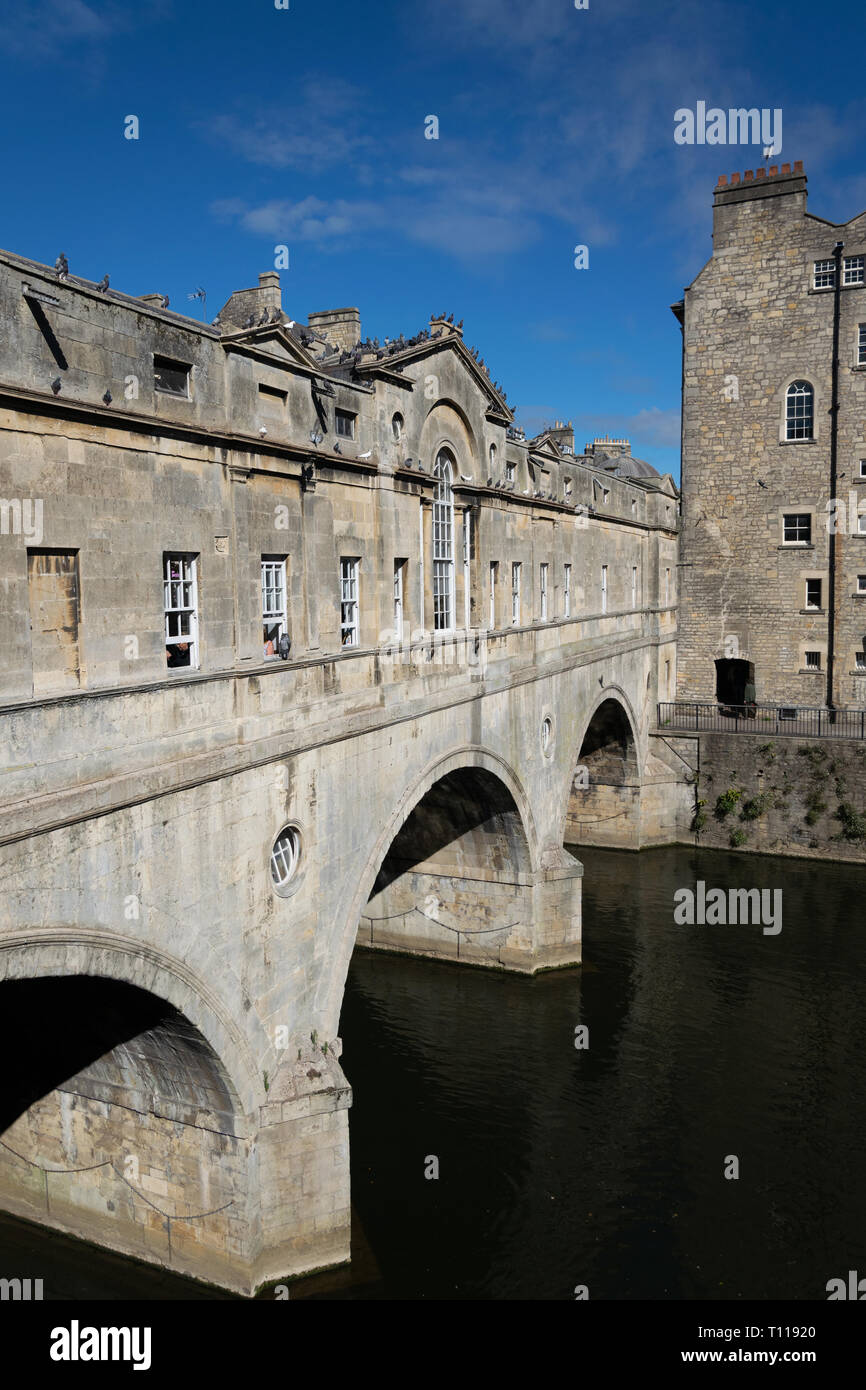 Pulteney Bridge über den Fluss Avon in der Badewanne, von Robert Adam im palladianischen Stil Stockfoto