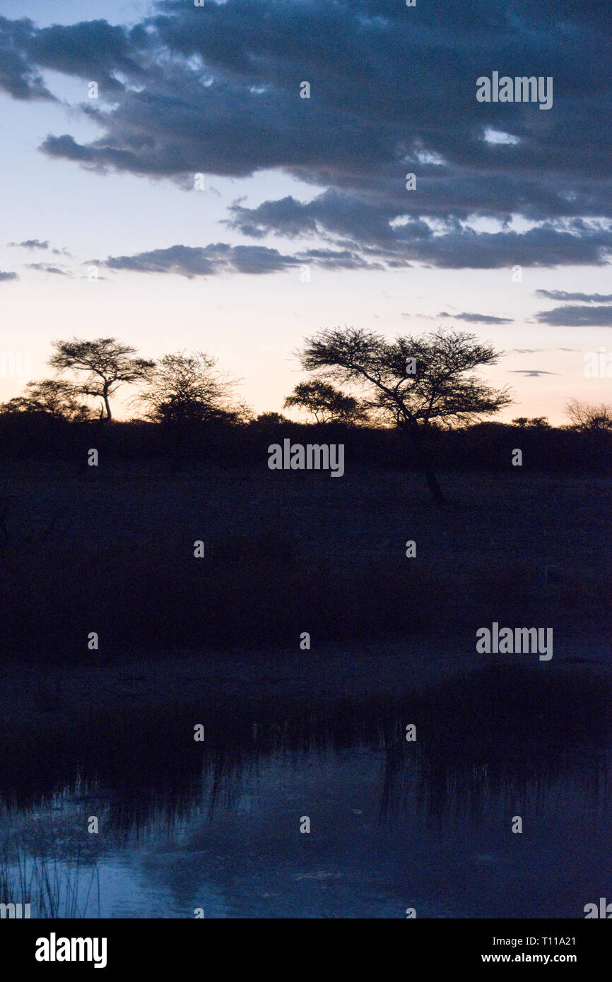 Sonnenuntergang über dem Wasserloch und Bäume auf Onguma Bush Camp, eine Lodge mit seinen eigenen Wildlife Reserve gerade außerhalb des Etosha National Park, Namibia. Stockfoto