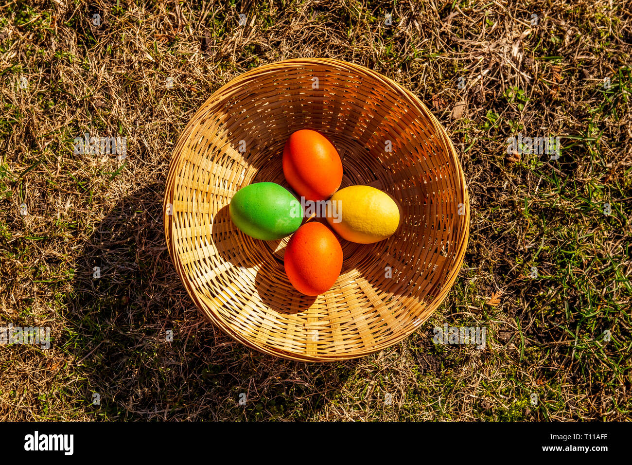 Ostereiersuche Eier in einem Korb auf einem Gras Hintergrund isoliert Stockfoto