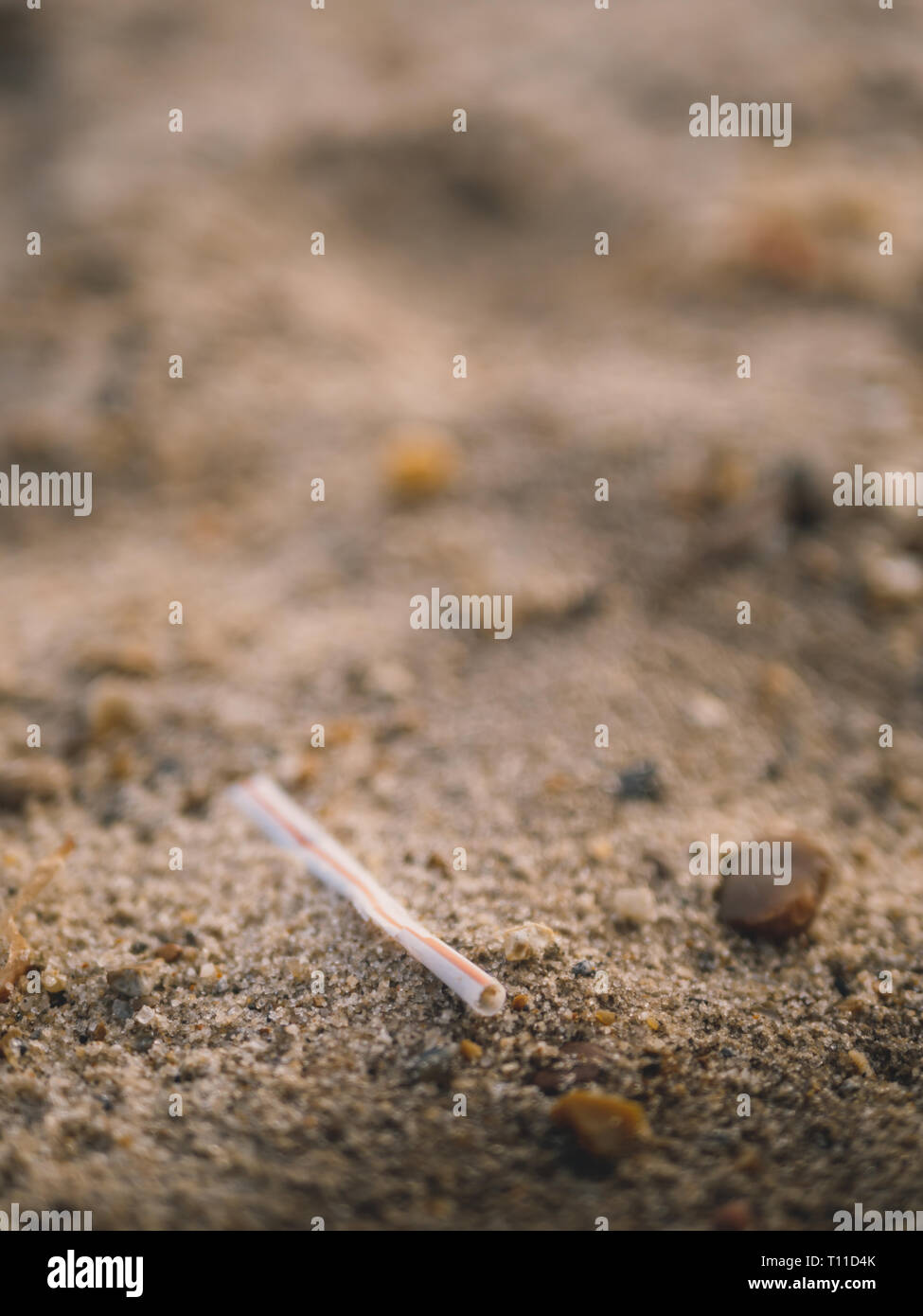 Plastikmüll/Müll/Verschmutzung am Strand/Sand im Winter im VEREINIGTES KÖNIGREICH Stockfoto