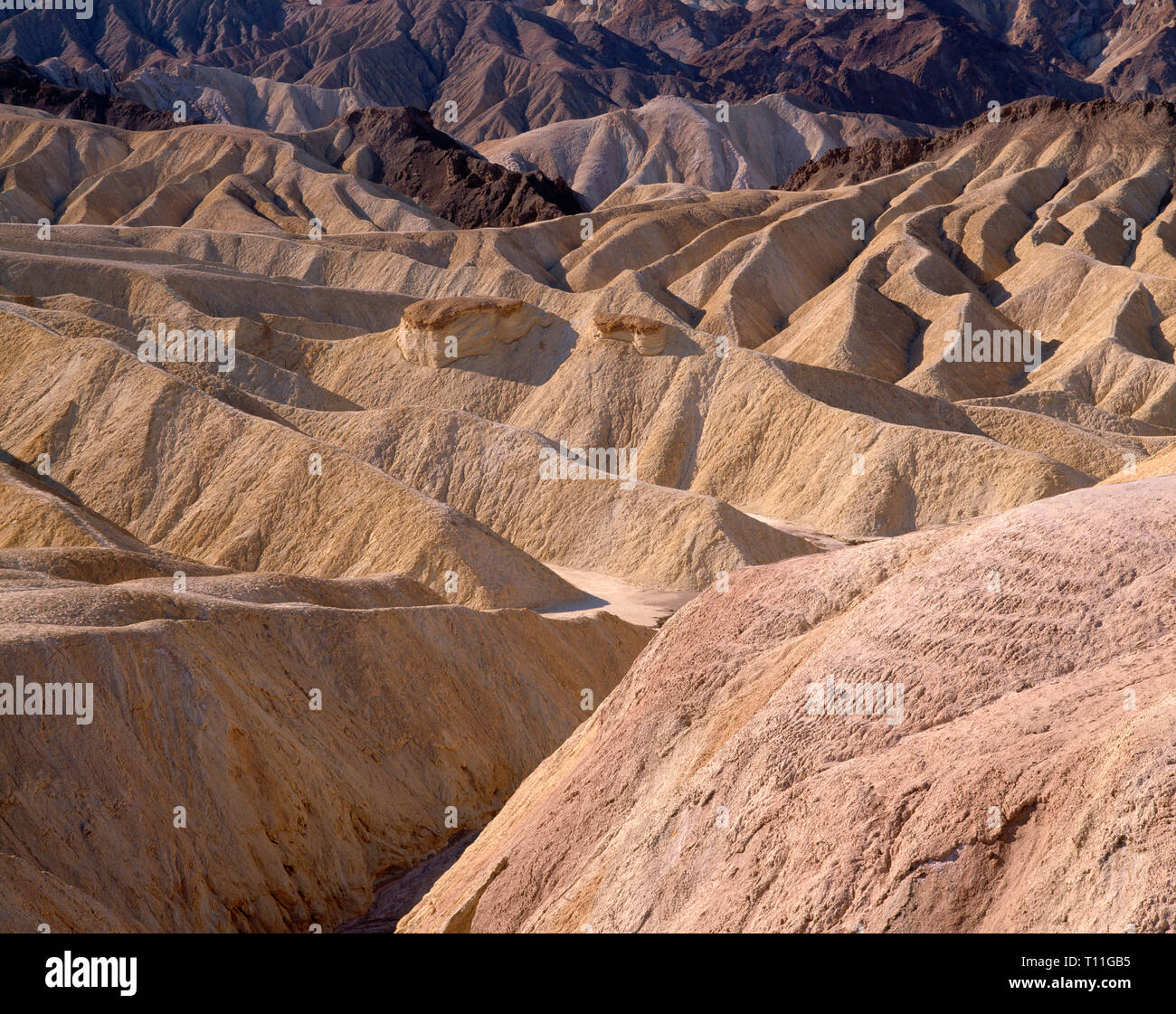 USA, Kalifornien, Death Valley National Park, erodiert mudstone Formen Muster der Hügel und Täler am Zabriskie Point. Stockfoto