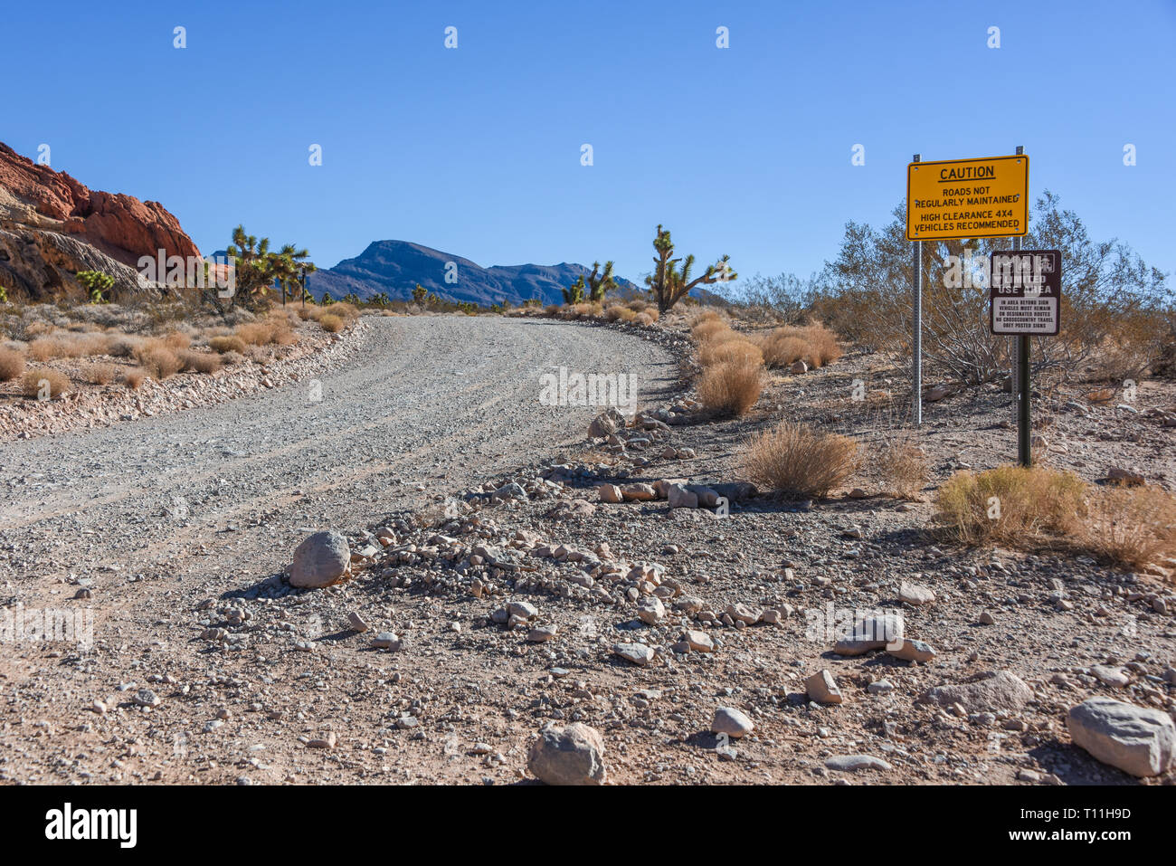 Gold Butte National Monument, Bunkerville, Nevada, USA, Nordamerika Stockfoto