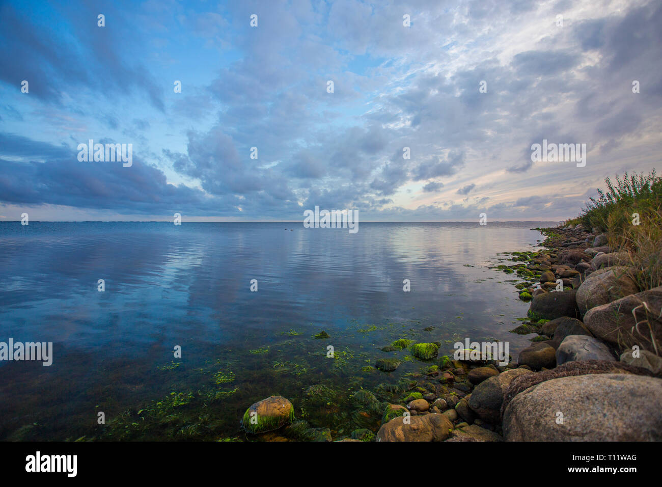 Sundowner in Dänemark am ringkobing Fjord Stockfoto