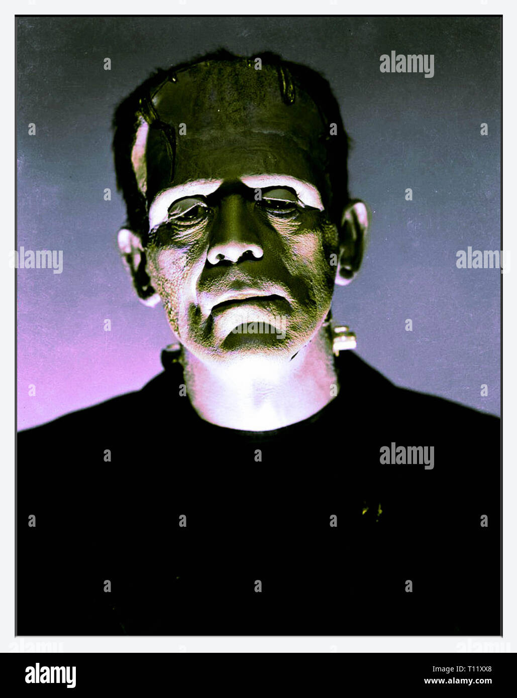 Die Mumie 1932 Boris Karloff Stockfotos Und Bilder Kaufen Alamy