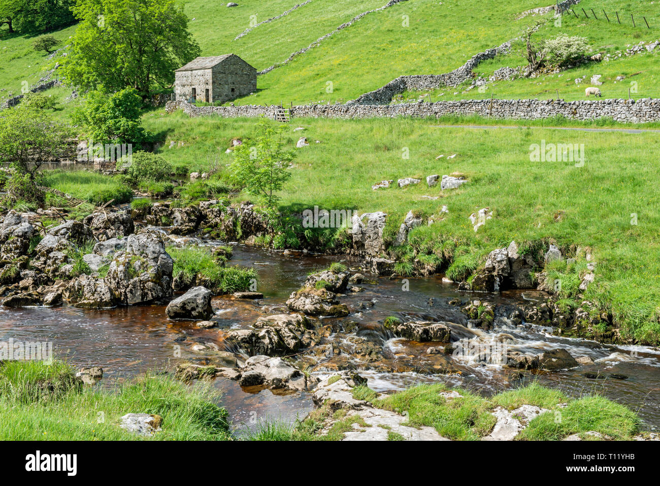 Langstrothdale, die im oberen Bereich der Wharfedale in den Yorkshire Dales National Park an einem Sommertag. Das ist der obere Abschnitt der Wharfedale Stockfoto