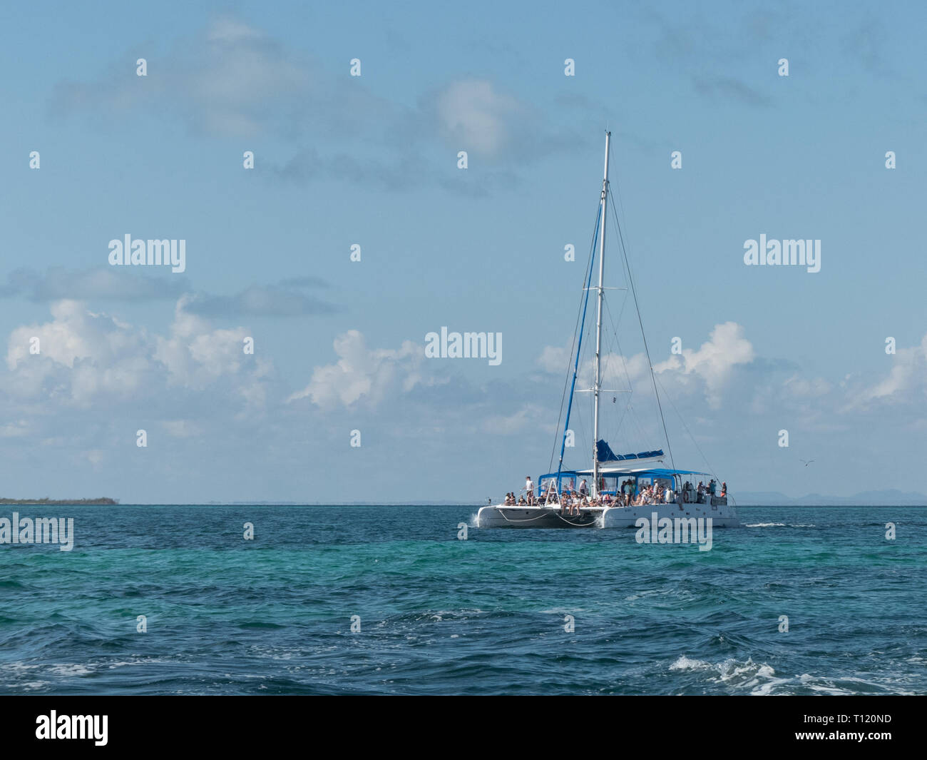 Katamaran touristischen Segelboot Horizont, türkisfarbenem Wasser Platz kopieren Stockfoto
