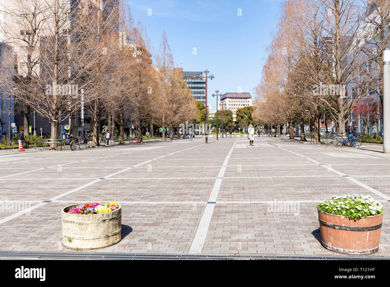 Odori Park, Naka-Ku, Yokohama City, Präfektur Kanagawa, Japan Stockfoto