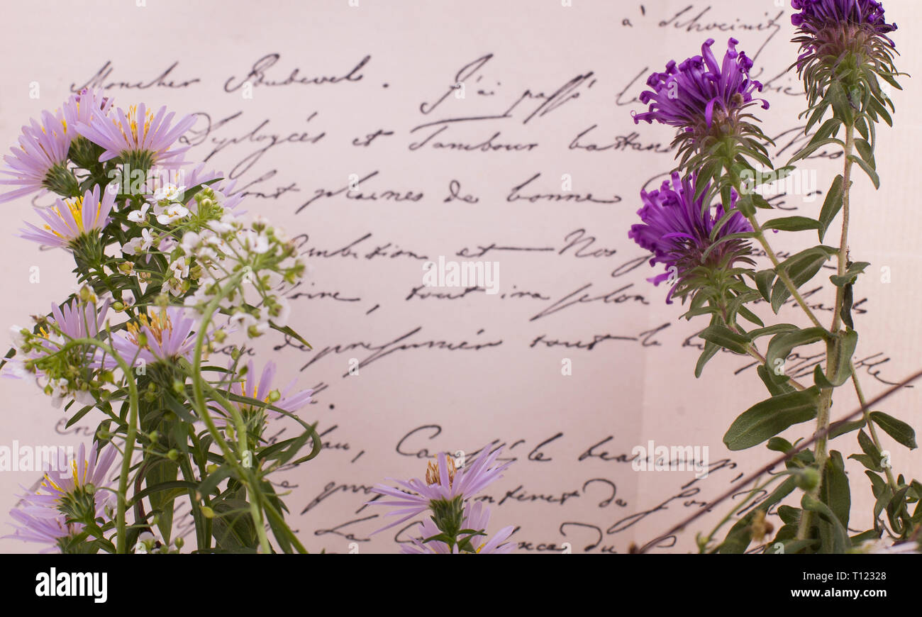 Pflanzliche Arzneimittel - Bach, Rezept. Symbol der natürlichen Volksmedizin. Stockfoto