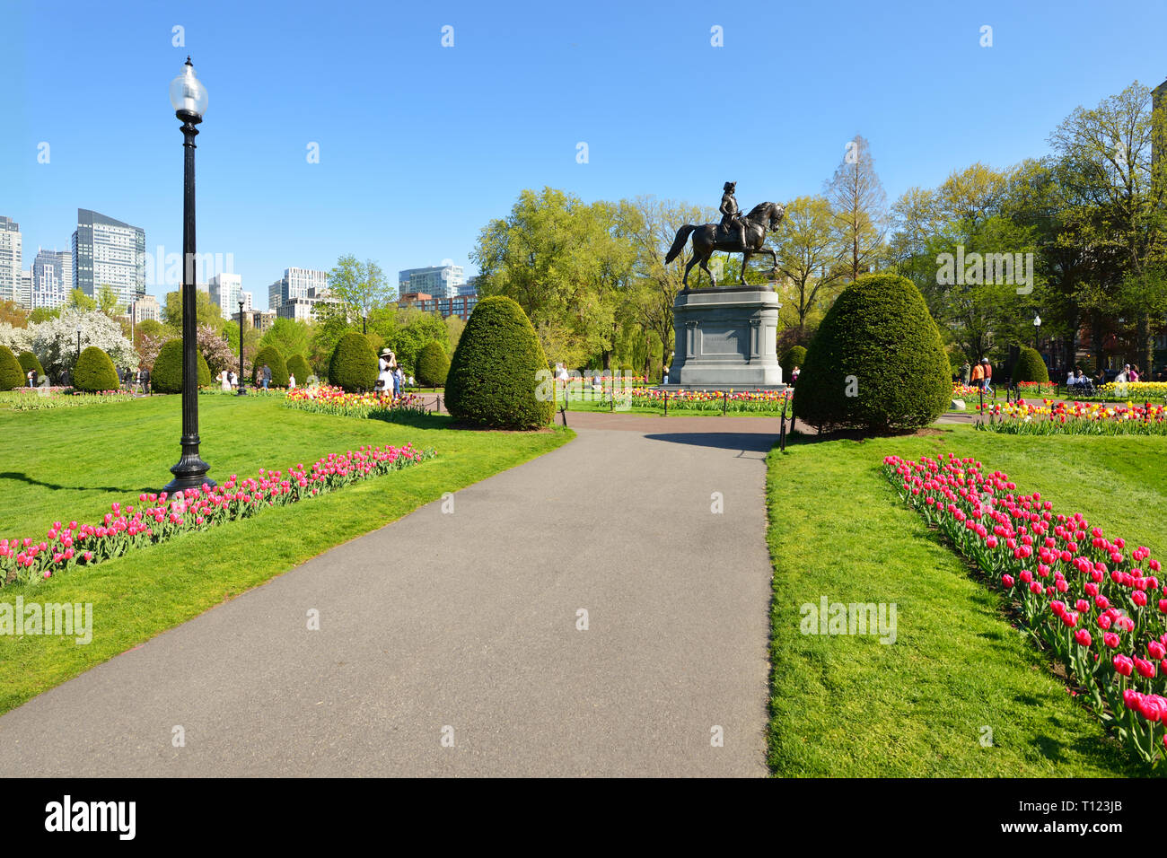 Tulip Jahreszeit in Boston Public Garden Stockfoto
