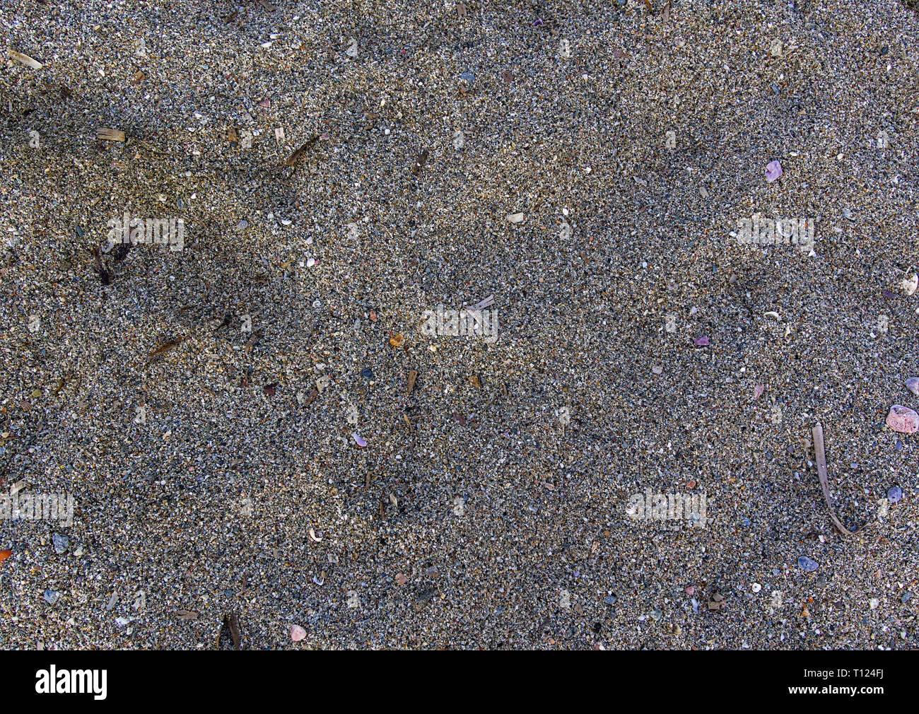 In der Nähe von Sand am Strand. Stockfoto