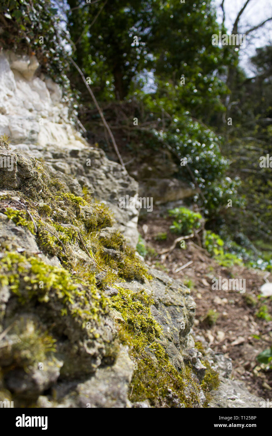 Alte Chalk Steinbruch in Skendleby Psalter, Lincolnshire, Großbritannien Stockfoto