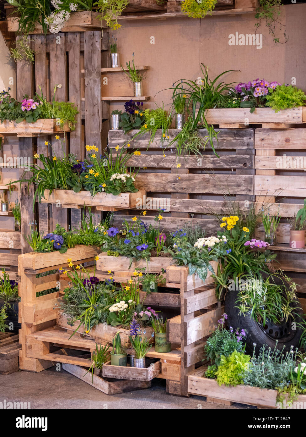 Bild der hölzernen Wand mit Holz Kisten voller schöne bunte Blumen. die Dekoration Stockfotografie