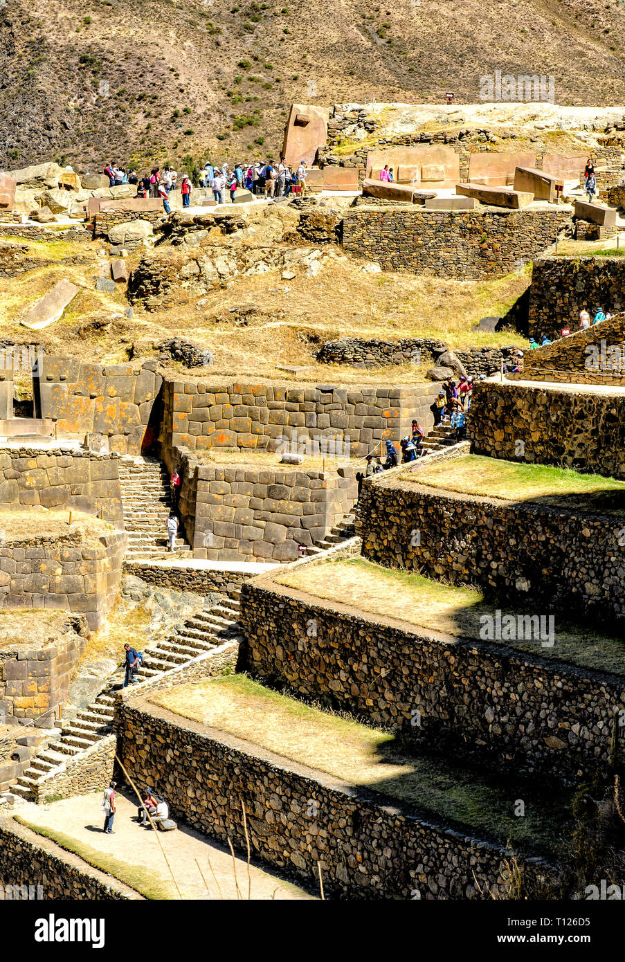 Ein Blick auf die riesigen Terrassen in Ollantaytambo aus dem Getreide lagern, Sie sind höher als der durchschnittliche Mann Stockfoto