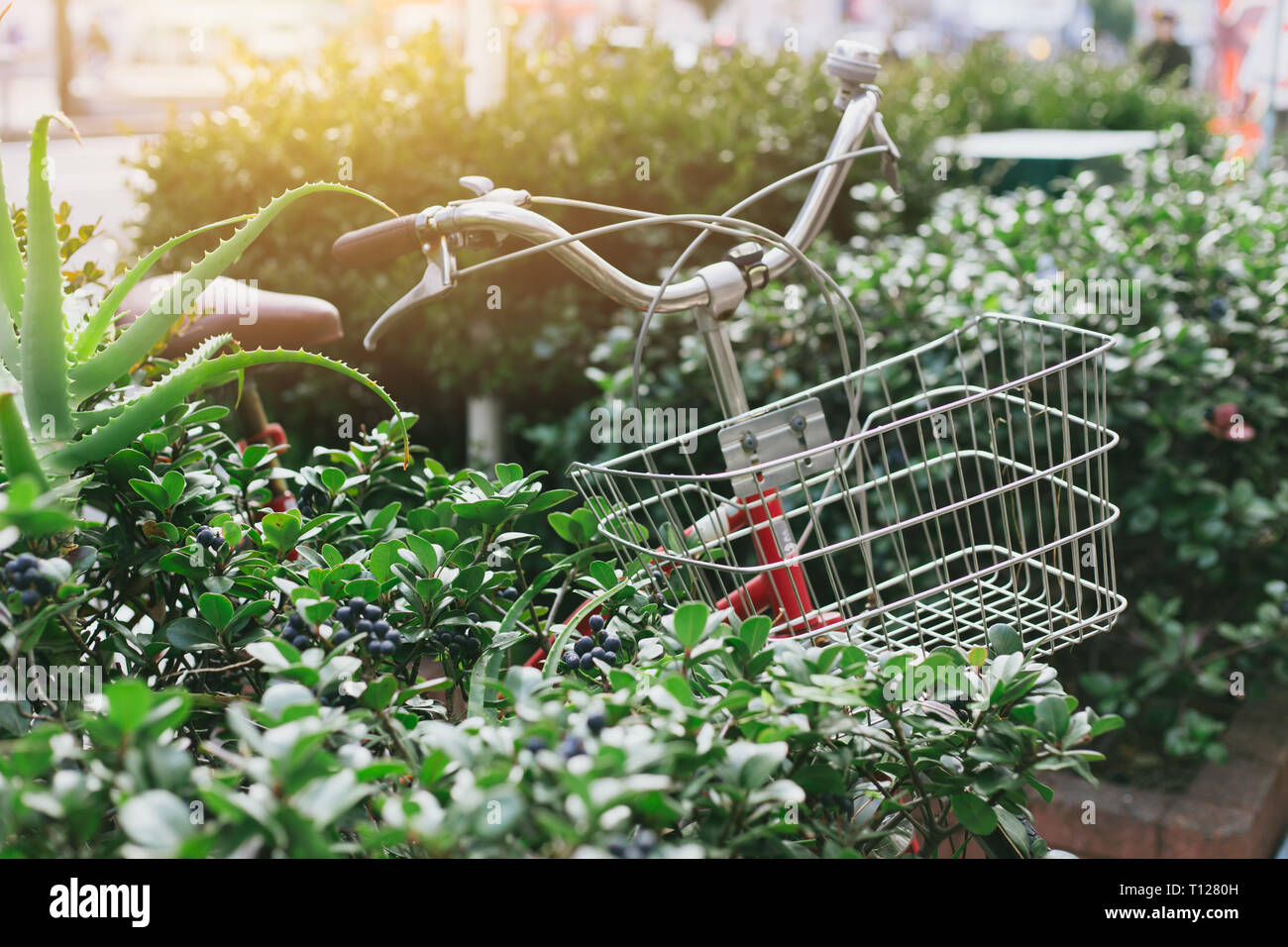 Fahrrad parken im Green Park saubere Luft geringer Belastung Fahrzeug für gute Umwelt Konzept. Stockfoto