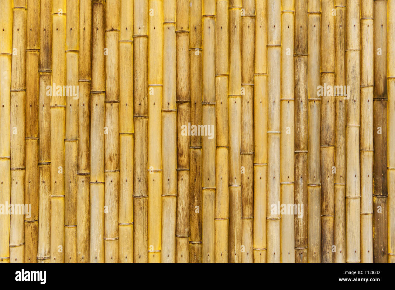 Natrliche bambus holz- Textur muster Hintergrund Stockfotografie - Alamy