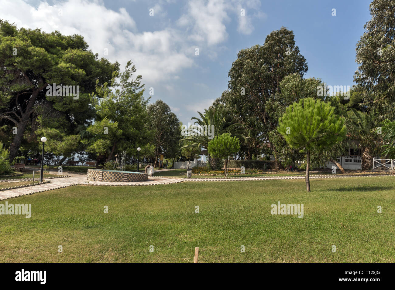 Park an der Metamorfosi Strand an der Halbinsel Sithonia, Chalkidiki, Zentralmakedonien, Griechenland Stockfoto