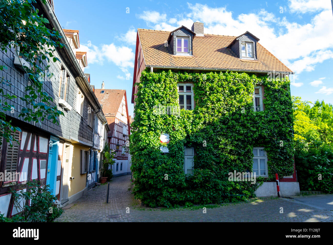 Haus bedeckt in grünen Pflanzen Stockfoto